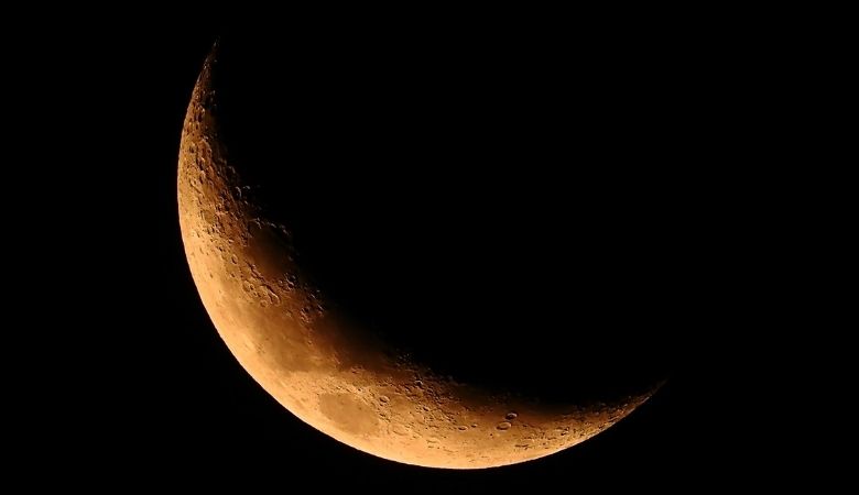 plantar na lua crescente o que colher