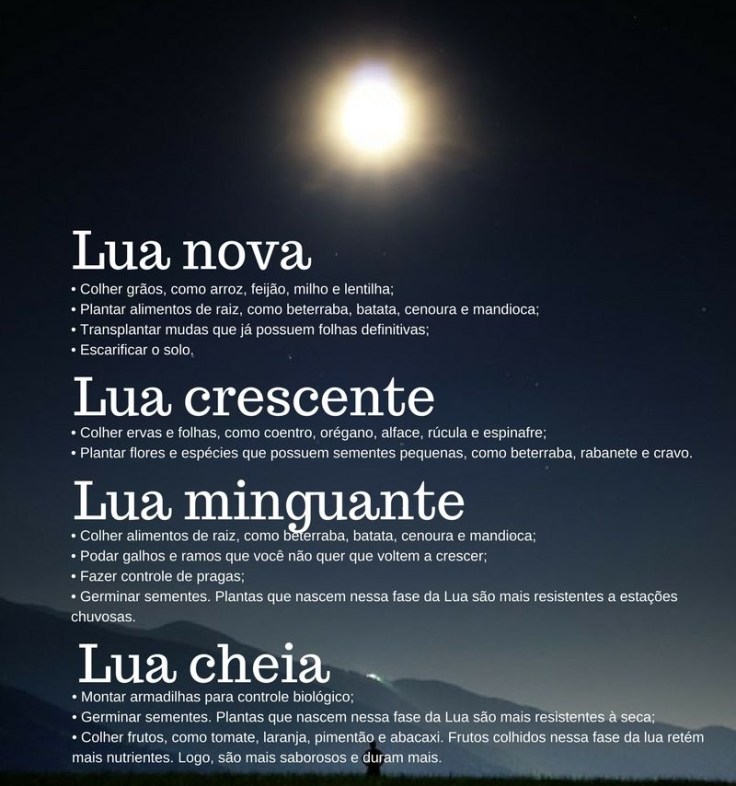 grãos lua crescente