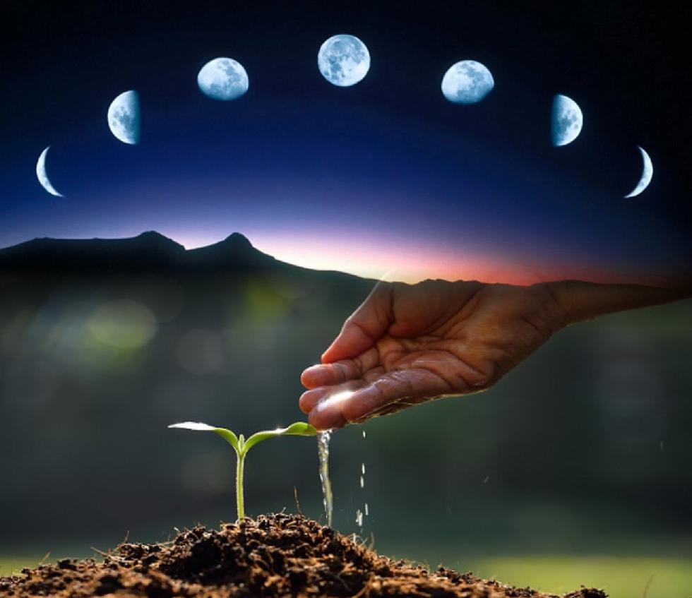 calendário lunar plantio 2026