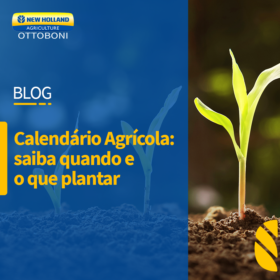 o que plantar na lua cheia