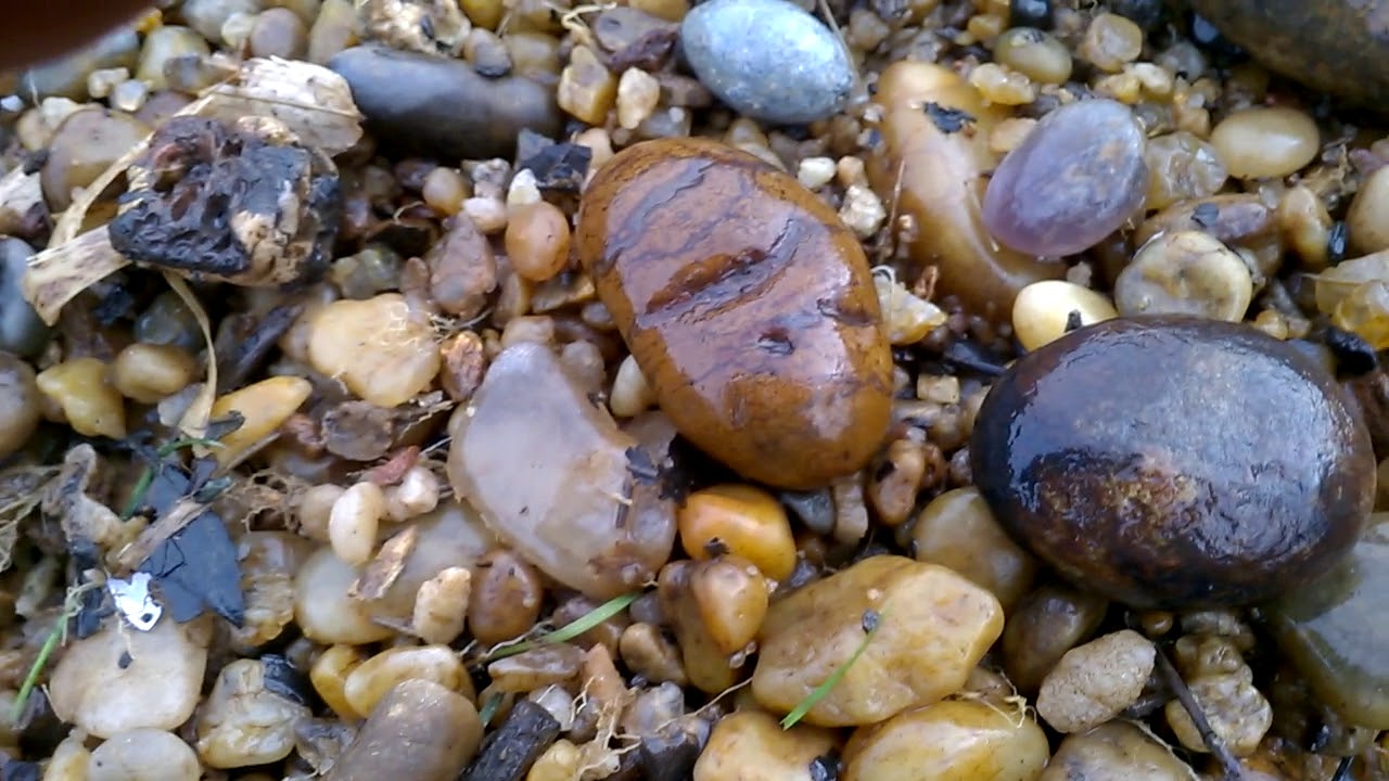 tipos de seixo