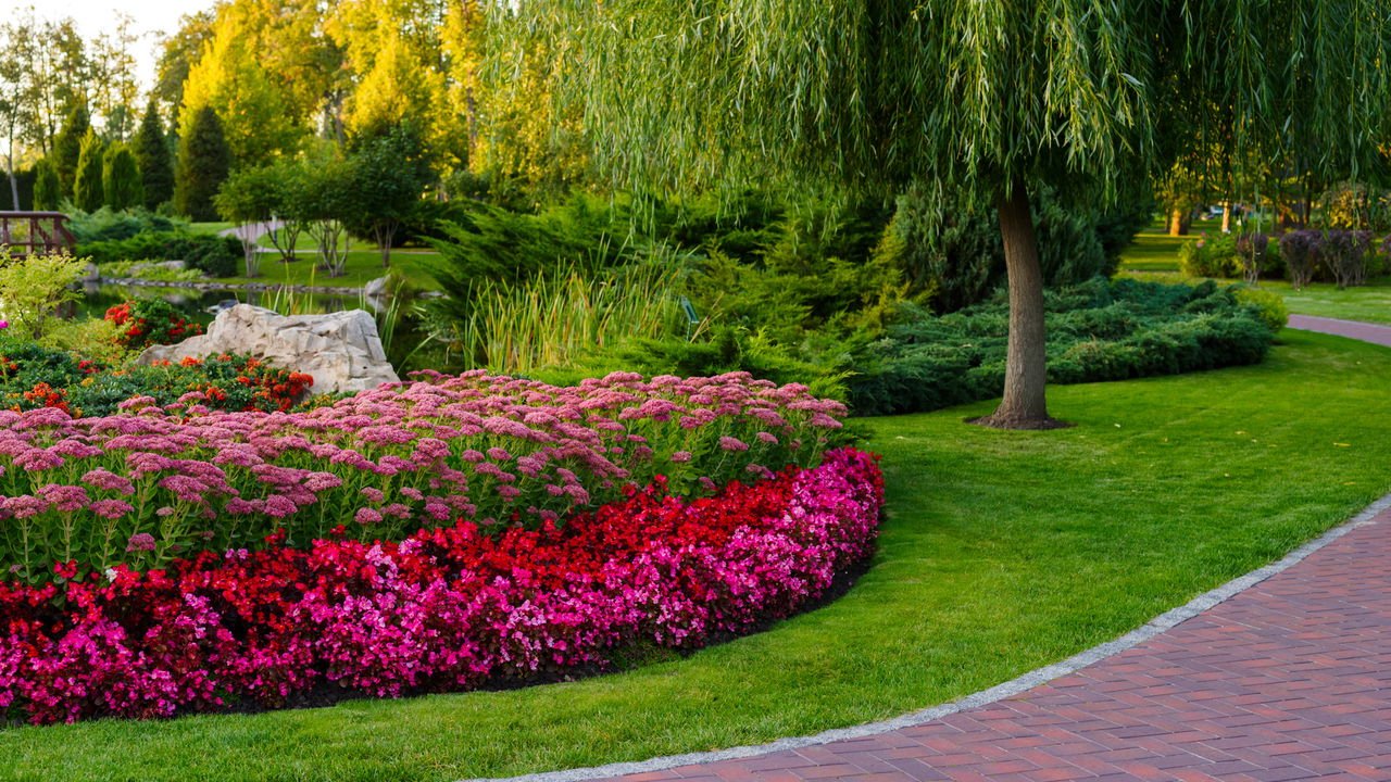 plantas ornamentais