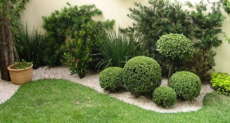 plantas brasileiras para jardim