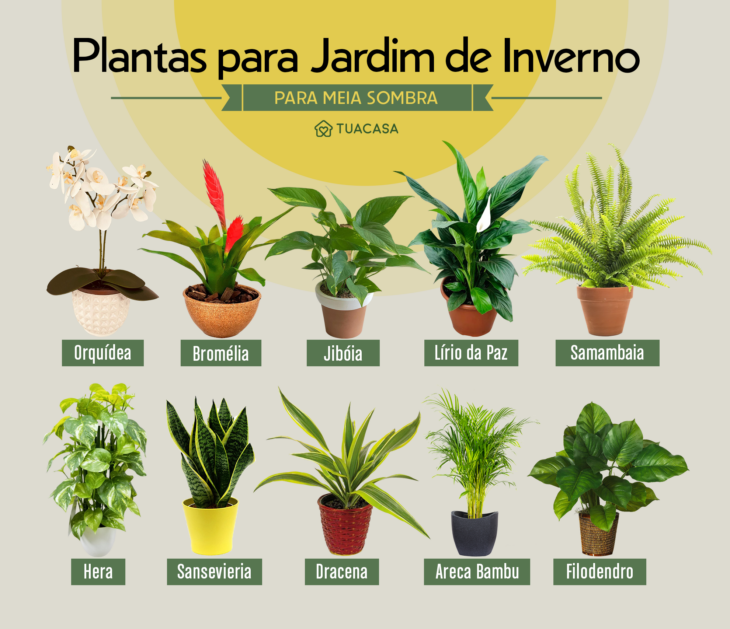 jardim pequeno