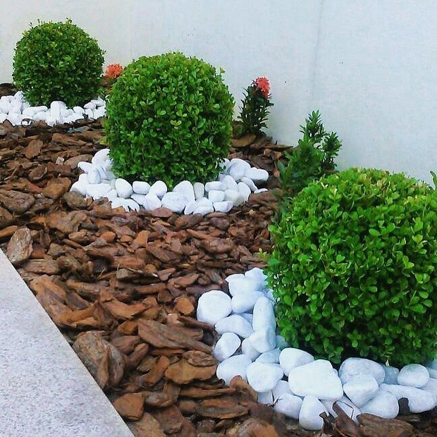plantas que nunca morrem