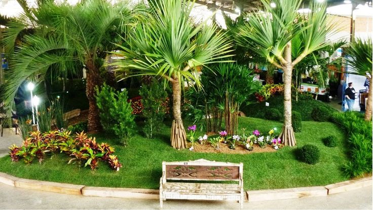 plantas ornamentais de interior
