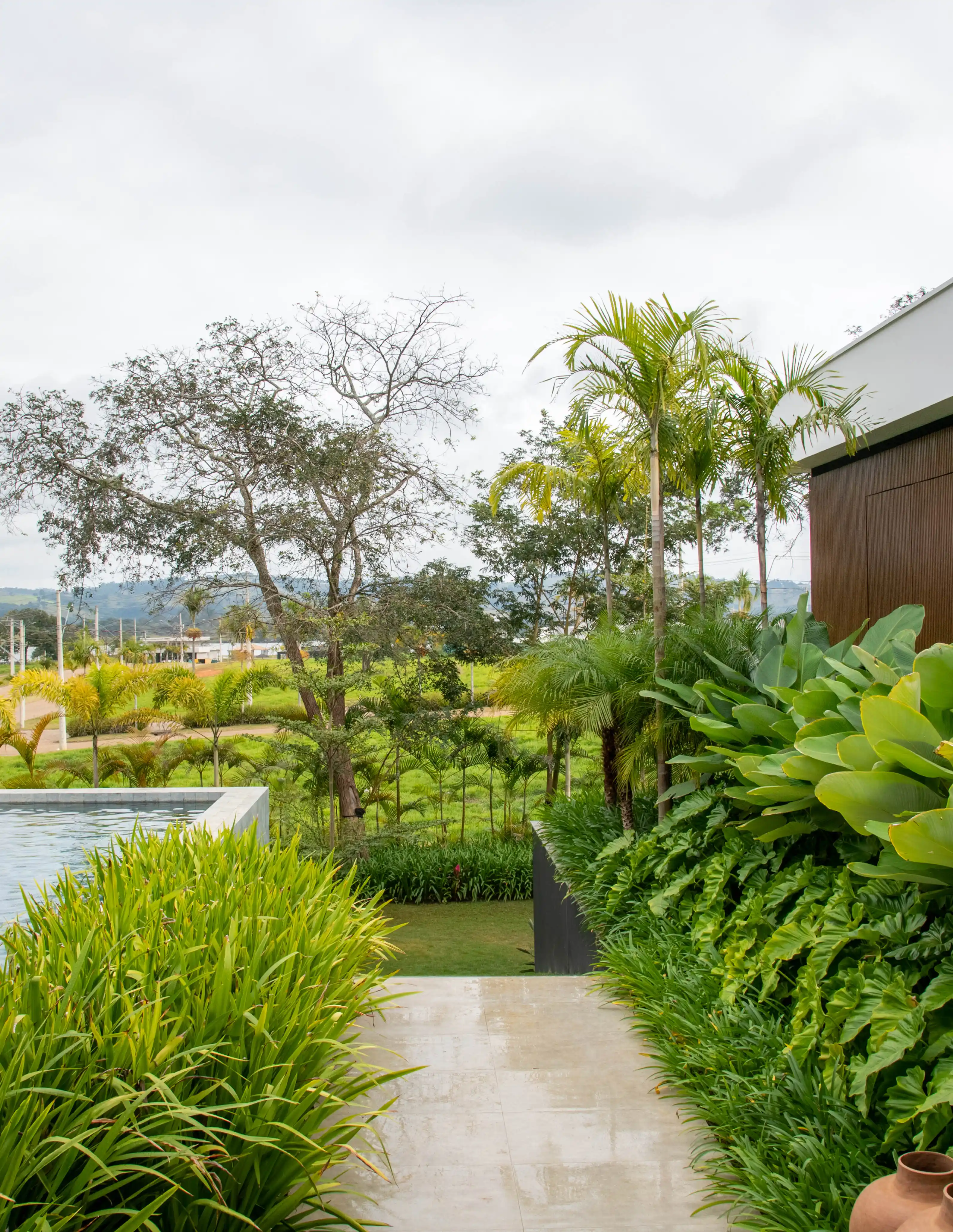plantas ornamentais com flores vermelhas