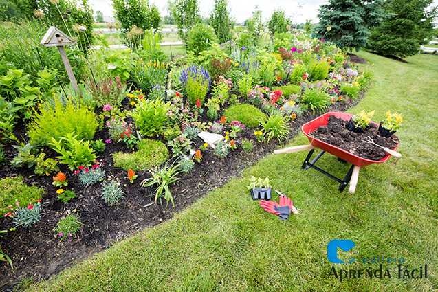 plantas ornamentais para paisagismo moderno