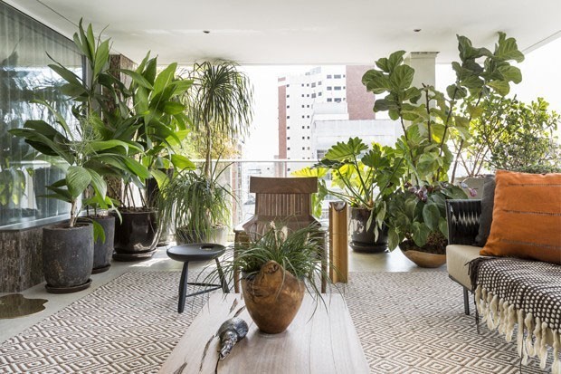 plantas para varanda pequena