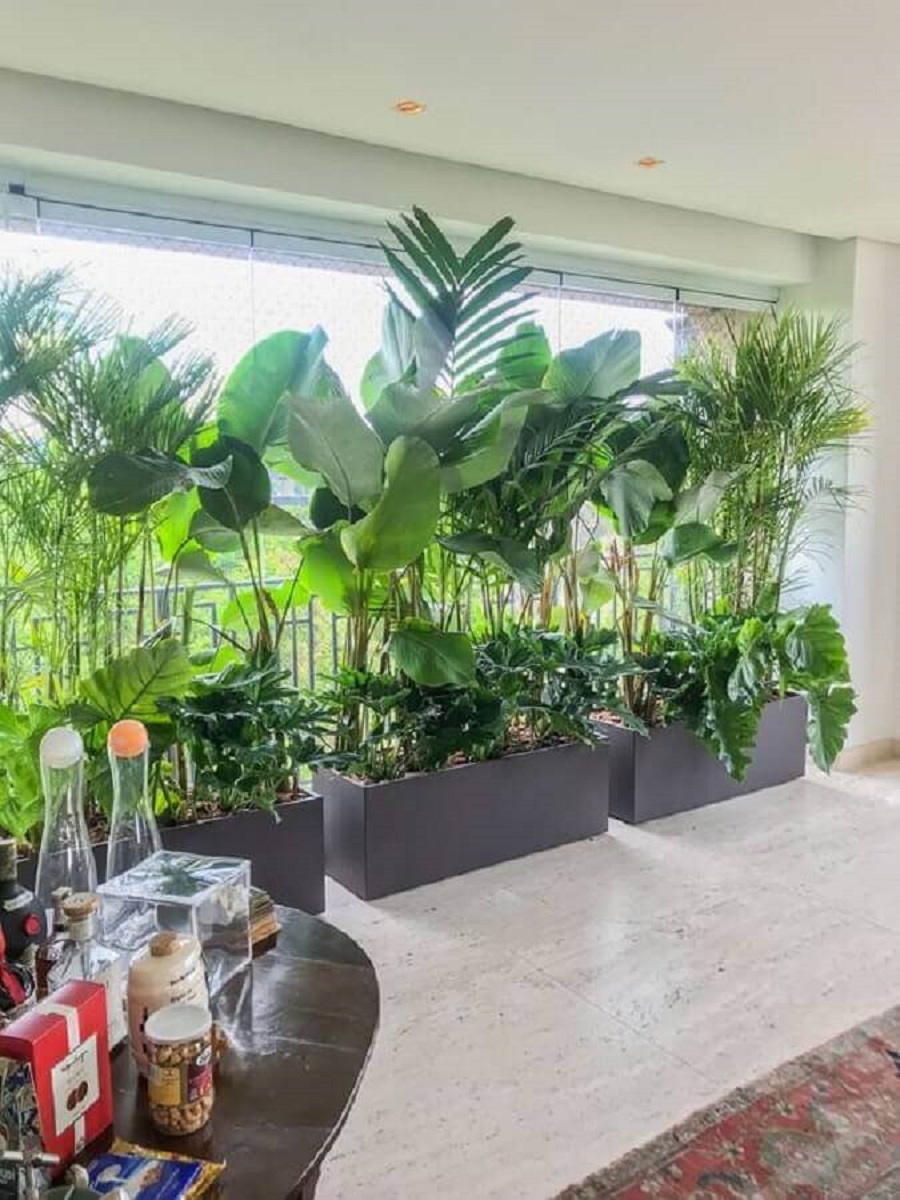 plantas para varanda com sol