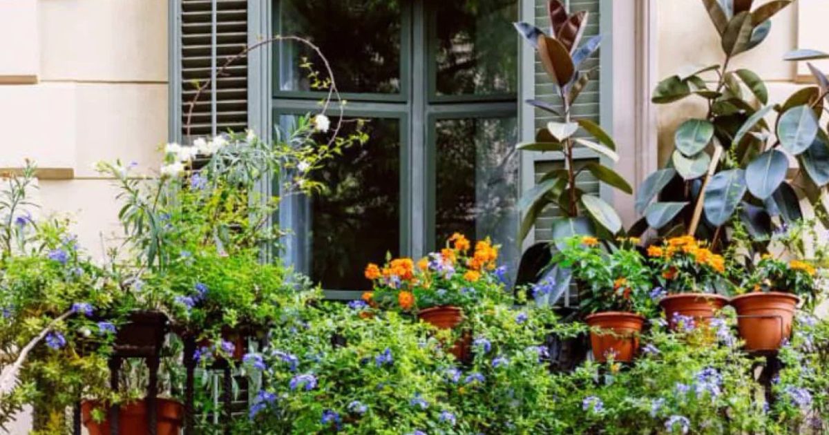 decorar varanda com plantas
