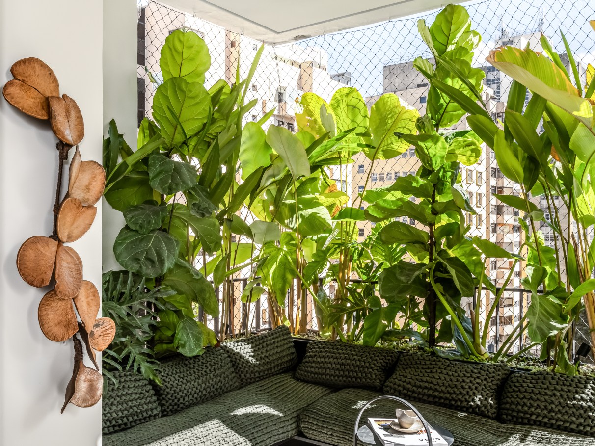 plantas pendentes para varanda