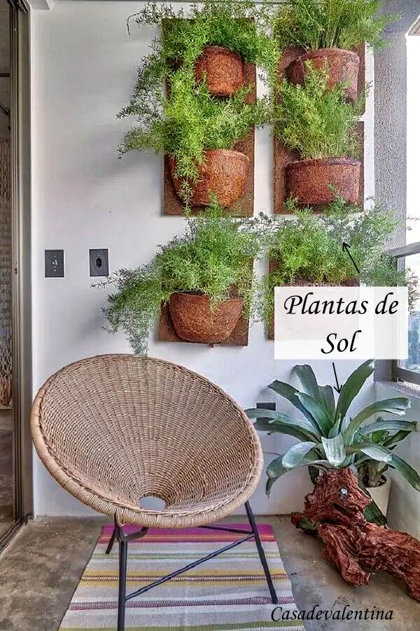 plantas fáceis de cuidar varanda
