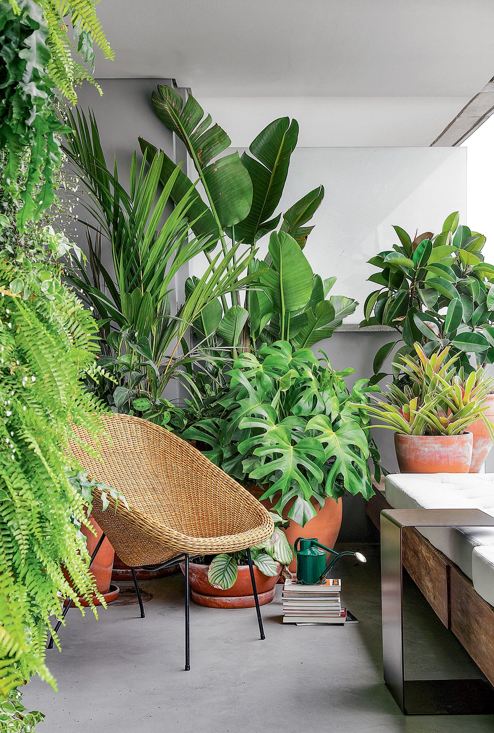 plantas para apartamento varanda