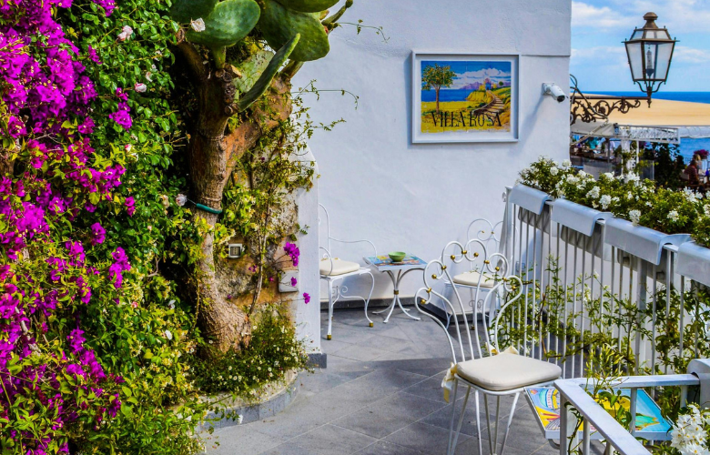 plantas que gostam de sol pleno na varanda