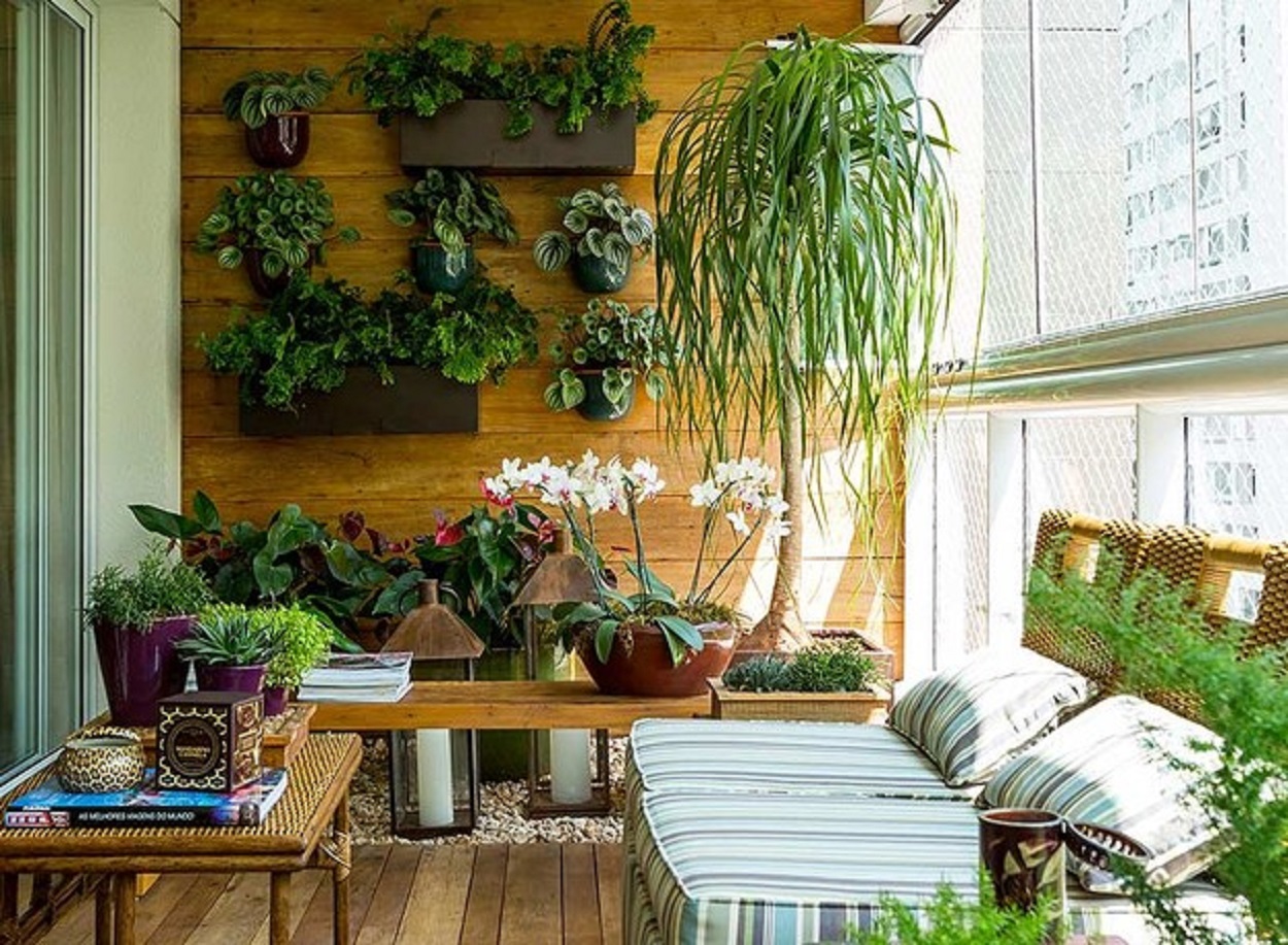 plantas para varanda gourmet