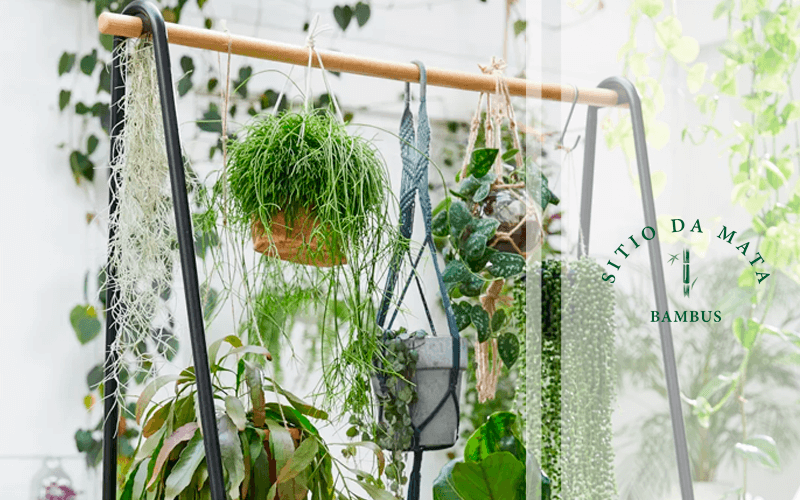 vasos suspensos para plantas