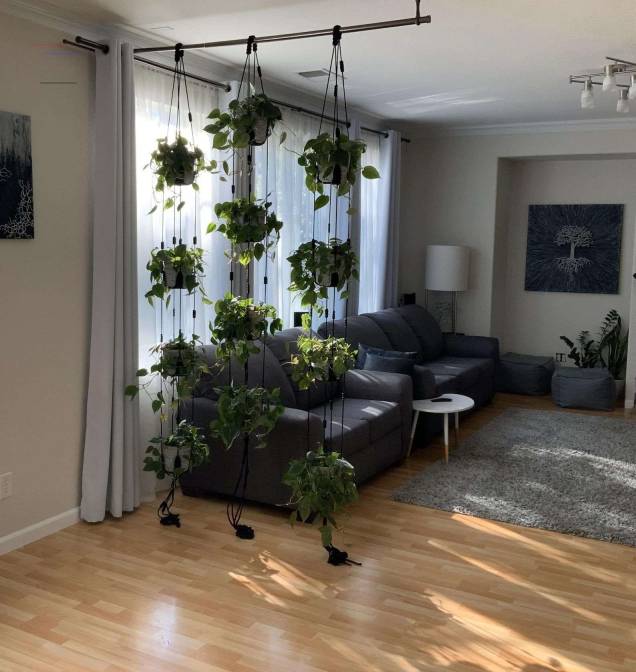 plantas para ambientes com pouca luz