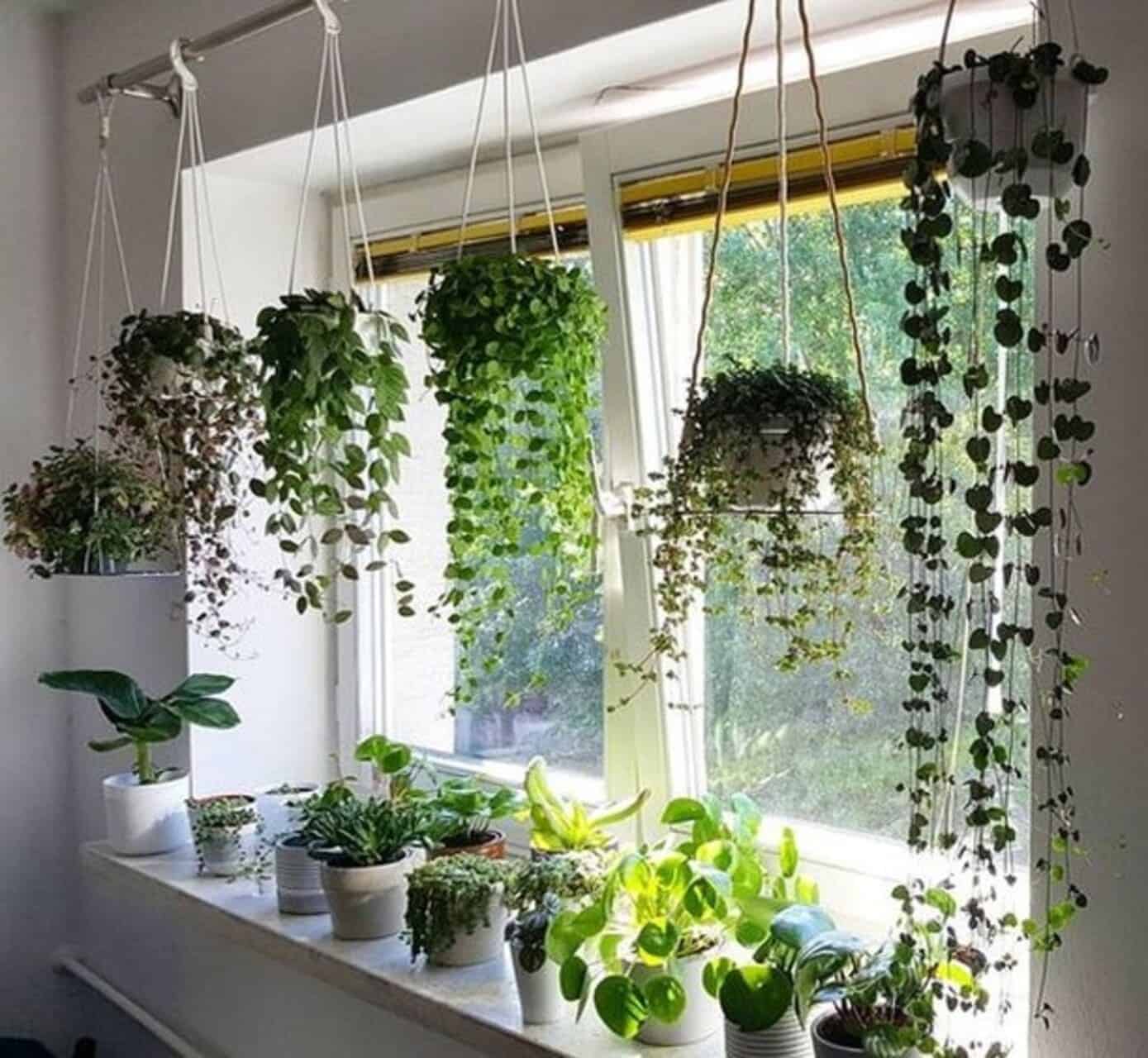 decoração com plantas em cascata