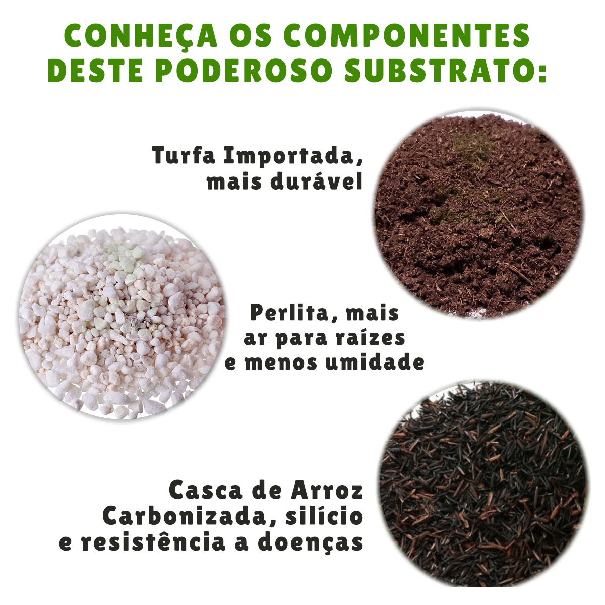 como fazer terra para suculentas