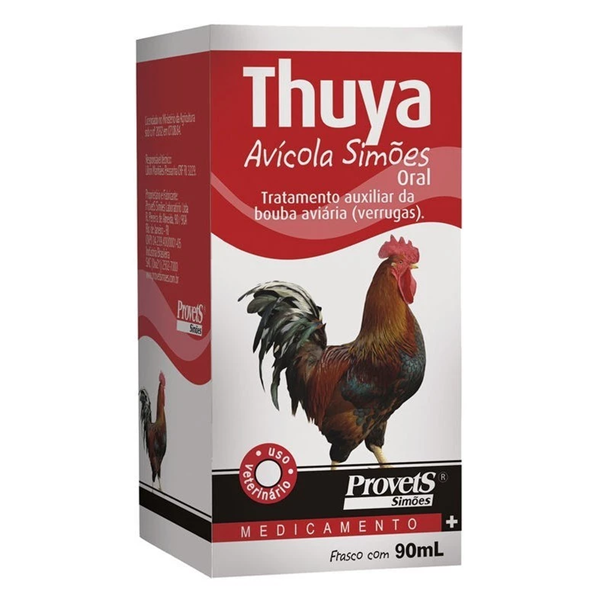 Thuya Burl