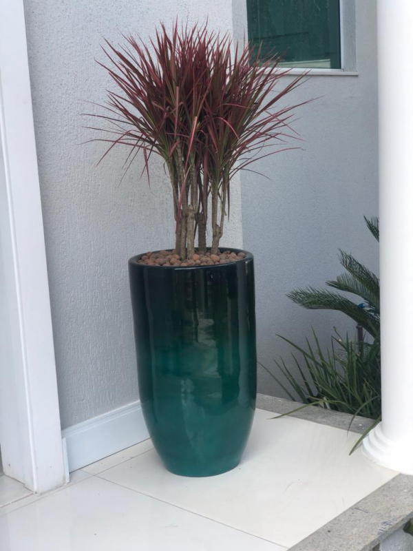 vasos de alto impacto visual